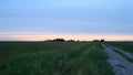 Dirt road in an open field at sunset on a summer day. The sun sheds a parting light on the sky, which turns pink. The field was Royalty Free Stock Photo