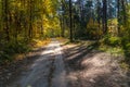 A dirt road passes through the autumn forest. Colorful trees in the autumn season during sunset. Quiet and cozy paths for walking Royalty Free Stock Photo