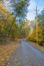 Dirt road passing through an autumn forest in the mountains Royalty Free Stock Photo