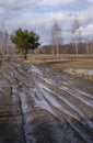 Spring dirt road passing through the beautiful countryside, destroyed by cars Royalty Free Stock Photo