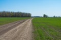 Dirt road passing through a green field. Road to the field. Royalty Free Stock Photo