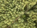 Dirt road passing through a green forest on a clear summer day. Aerial view from the drone natural layout for your ideas Royalty Free Stock Photo