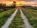 Dirt Road Path Leading to Sunset Royalty Free Stock Photo