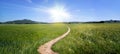 Dirt road path panorama broad trail swinging sun summer