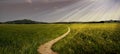 Dirt road path panorama broad trail swinging sun summer