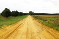 Dirt road by a pecan orchard