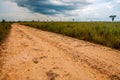 A Dirt Road in the Plains