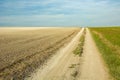 Dirt road through a plowed and green field, horizon and white clouds on a blue sky Royalty Free Stock Photo