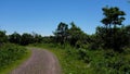 Dirt Road in Pocono Mountains Royalty Free Stock Photo