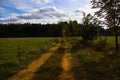 Dirt road pointing in the forest with the sunshine sky in background Royalty Free Stock Photo