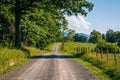 A dirt road in the Potomac Highlands of West Virginia Royalty Free Stock Photo