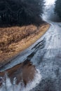 Dirt road and puddle with rainwater leading into dark forest Royalty Free Stock Photo