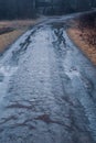 Dirt road and puddle with rainwater leading into dark forest Royalty Free Stock Photo