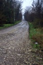 Dirt road with puddles in a grove on a clou day in winter