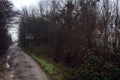 Dirt road with puddles in a grove on a clou day in winter