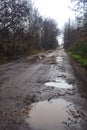 Dirt road with puddles in a grove on a clou day in winter