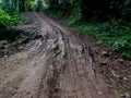 Dirt road with quagmire on the way Royalty Free Stock Photo