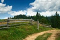 Dirt road and ranch, beautiful summer landscape, spruces on hills, cloudy sky and wildflowers - travel destination scenic, Royalty Free Stock Photo