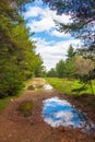 Dirt road with reflecting puddles Rhodopes Bulgaria Royalty Free Stock Photo