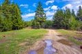 Dirt road with reflecting puddles Rhodopes Bulgaria Royalty Free Stock Photo