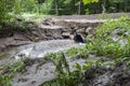 Dirt Road Repair of Culvert