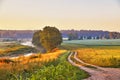 Dirt road on riverbank wild meadow in morning mist. Rural summer landscape Royalty Free Stock Photo