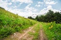 A dirt road running along the mountainside with grass and trees Royalty Free Stock Photo