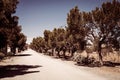 A dirt road running through a small town in rural Karoo region of South Africa Royalty Free Stock Photo