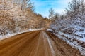 A dirt road running through a winter forest in the mountains Royalty Free Stock Photo