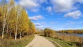 The dirt road runs along the grassy shore of the lake, with birch trees growing on it. There are reeds in the water and a forest o Royalty Free Stock Photo