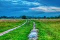 A dirt road runs away through a green meadow into a summer fog.  Soft focus Royalty Free Stock Photo