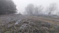 A dirt road runs through the trees along the river bank. After the night frost and high humidity at dawn, the grass was covered wi Royalty Free Stock Photo