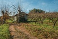Dirt road on rural landscape with shabby shack
