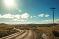 Dirt road in rural lowlands with sunlight