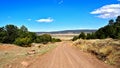 Dirt Road in Santa Fe National Forest in New Mexico Royalty Free Stock Photo