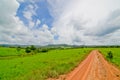 The dirt road on the savanna field leading to the horizon