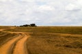 Dirt road in Serengeti National Park Royalty Free Stock Photo