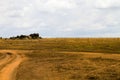 Dirt road in Serengeti National Park Royalty Free Stock Photo