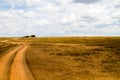 Dirt road in Serengeti National Park Royalty Free Stock Photo