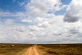 Dirt road in Serengeti National Park Royalty Free Stock Photo