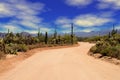 Dirt Road Sonora Desert Arizona Royalty Free Stock Photo