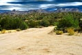 Dirt Road Sonora Desert Arizona Royalty Free Stock Photo