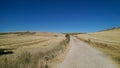 Dirt road in spain. Summer, fields of wheat