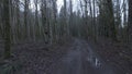 Dirt Road in Squamish Valley surrounded by trees. Forest, Backroad. Squamish, British Columbia