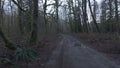 Dirt Road in Squamish Valley surrounded by trees. Forest, Backroad. Squamish, British Columbia