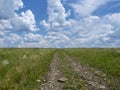 Dirt road in the steppe stretching beyond the horizon. Spring landscape with clouds, blooming steppe, prairie