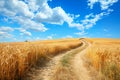 A dirt road stretches through a golden wheat field under a clear blue sky, creating a scenic path, A romantic path winding through Royalty Free Stock Photo