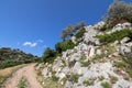 Dirt road strewn with rubble climbs up along rocky stone hill with rare dwarf plants against clear blue sky, Sithonia Cape,