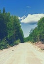 Dirt Road Through The Summer Forest