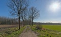 Dirt road in a sunny winter landscape with bare trees in a meadow in the flemish countryside